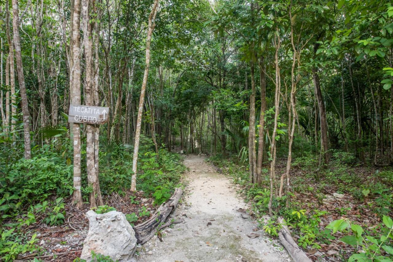Hotel Casa Costal - Glamping Experience à Puerto Morelos Extérieur photo